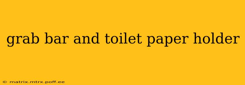 grab bar and toilet paper holder