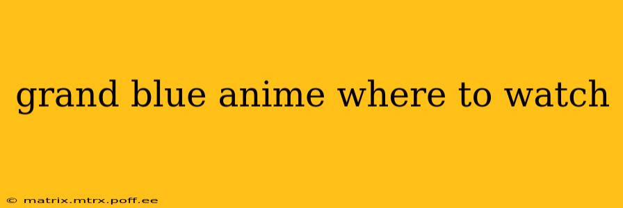 grand blue anime where to watch
