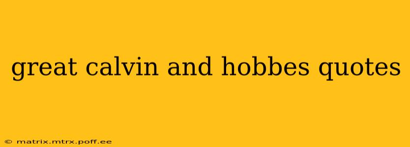 great calvin and hobbes quotes