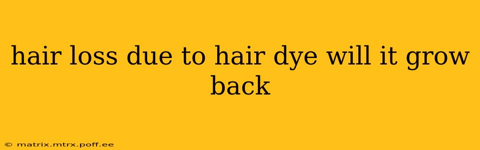 hair loss due to hair dye will it grow back