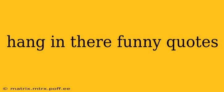 hang in there funny quotes