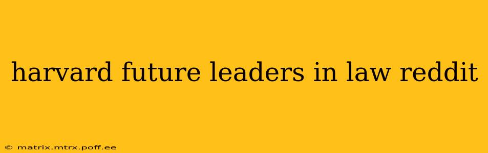 harvard future leaders in law reddit