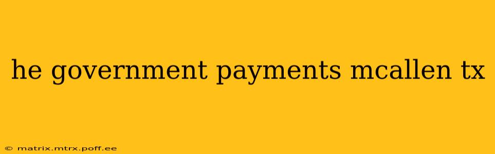 he government payments mcallen tx
