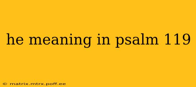 he meaning in psalm 119