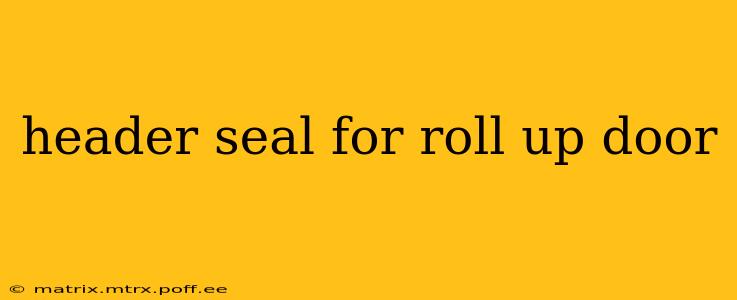 header seal for roll up door