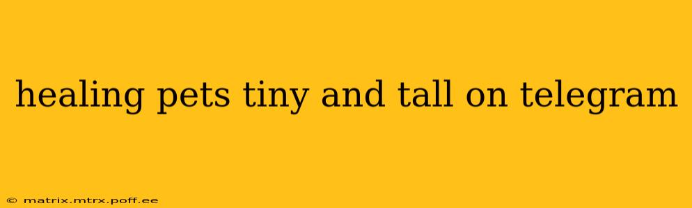 healing pets tiny and tall on telegram