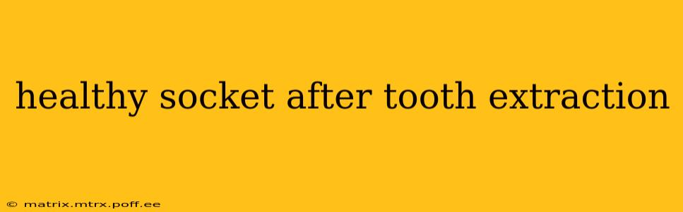 healthy socket after tooth extraction