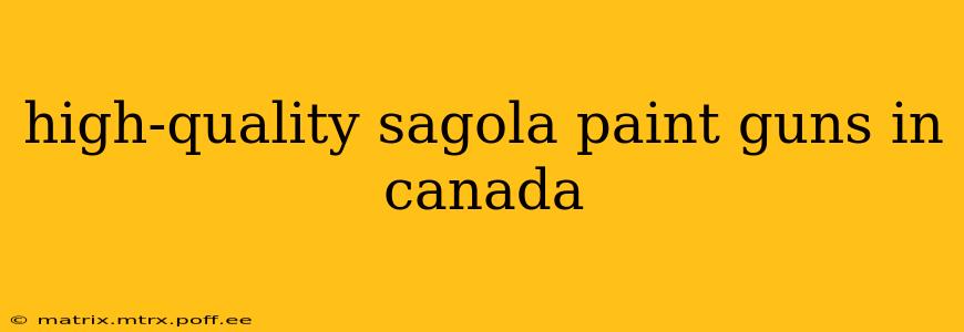 high-quality sagola paint guns in canada