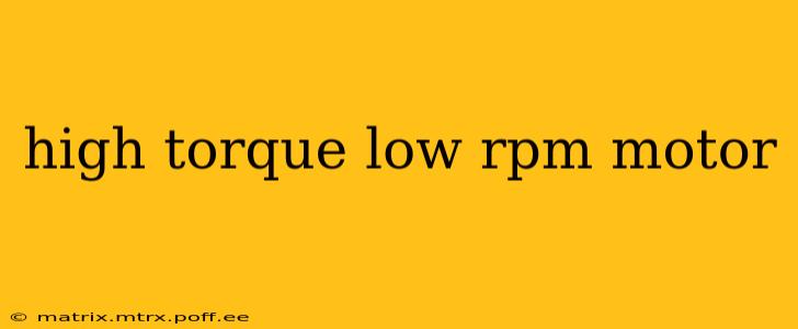 high torque low rpm motor