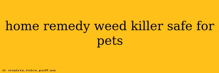 home remedy weed killer safe for pets
