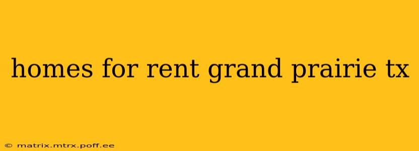 homes for rent grand prairie tx