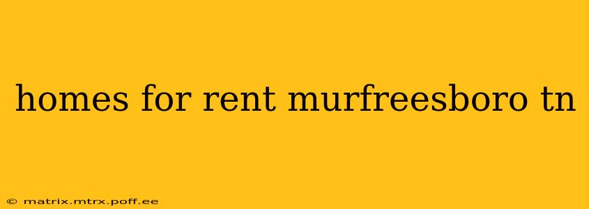 homes for rent murfreesboro tn