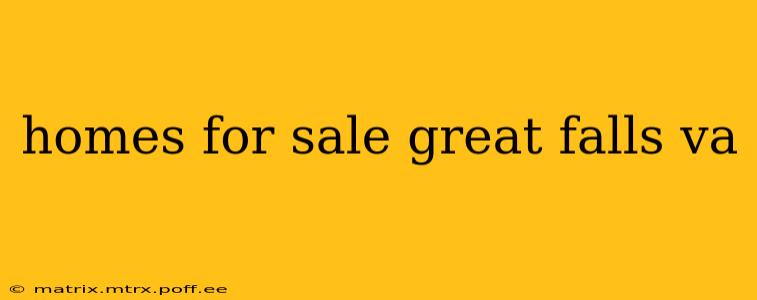 homes for sale great falls va