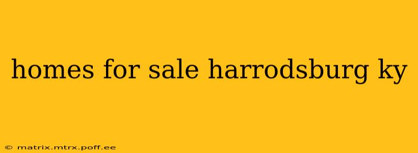 homes for sale harrodsburg ky