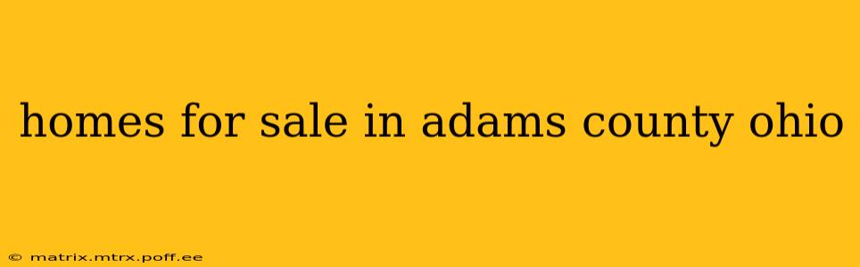 homes for sale in adams county ohio