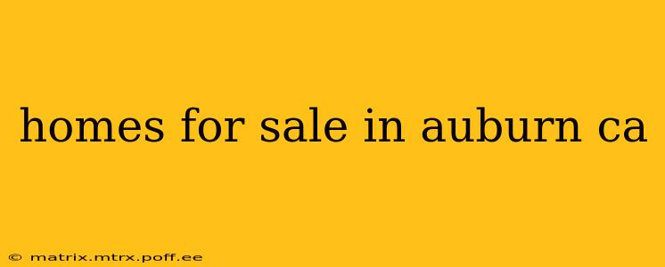 homes for sale in auburn ca