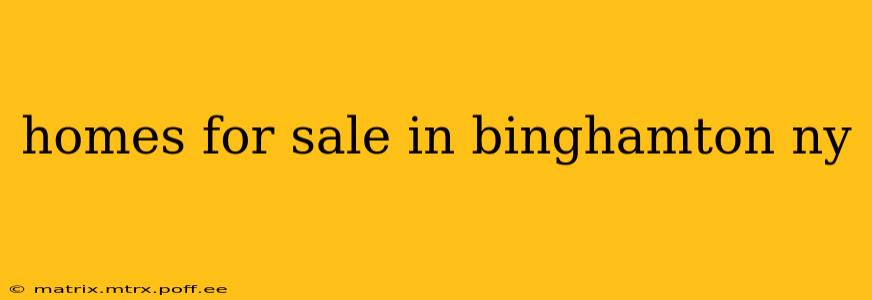 homes for sale in binghamton ny