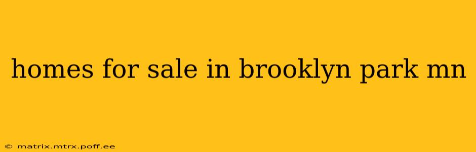 homes for sale in brooklyn park mn