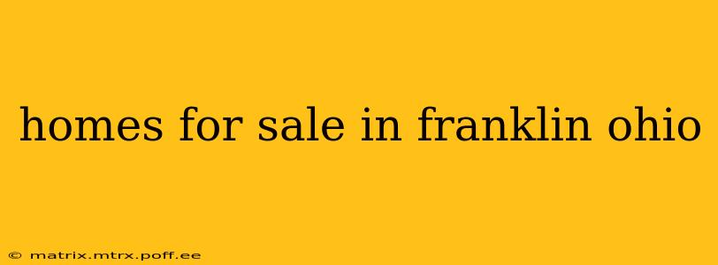 homes for sale in franklin ohio
