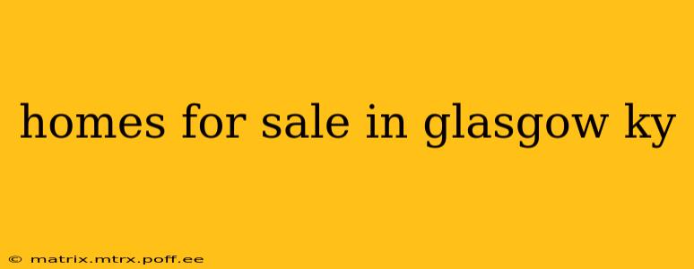 homes for sale in glasgow ky