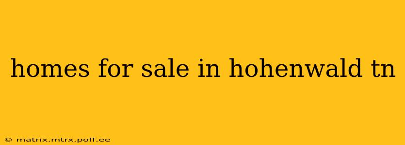 homes for sale in hohenwald tn