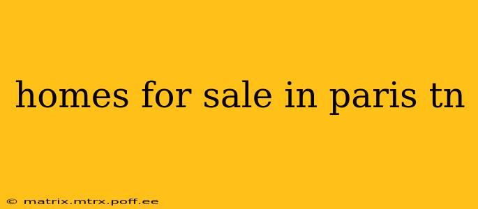 homes for sale in paris tn