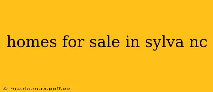 homes for sale in sylva nc