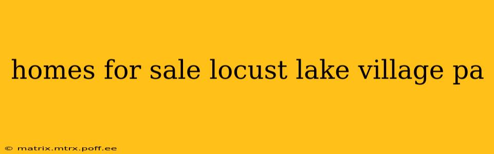 homes for sale locust lake village pa