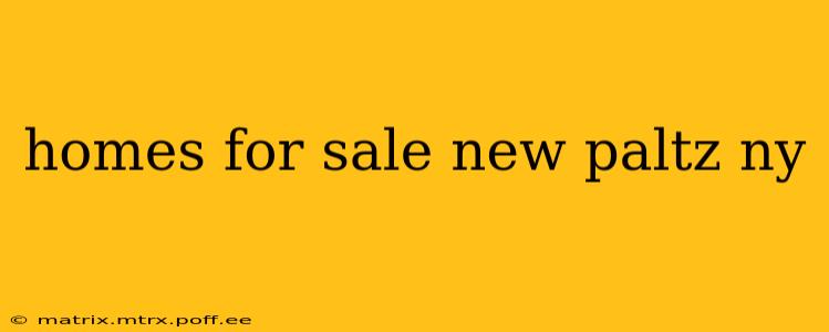 homes for sale new paltz ny