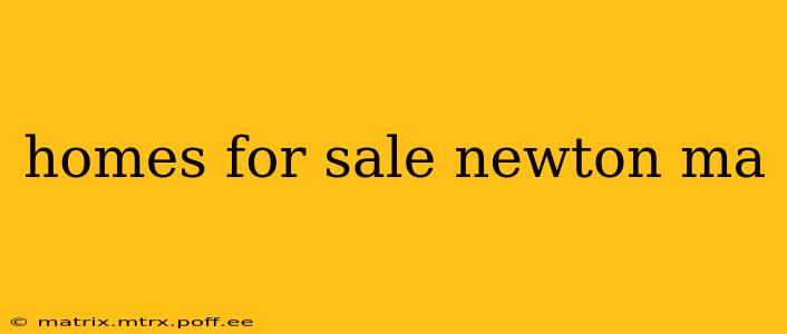 homes for sale newton ma