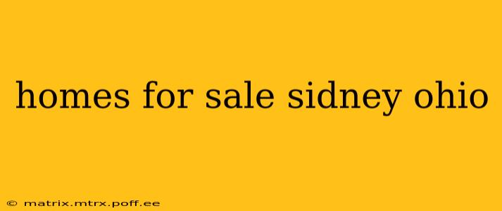 homes for sale sidney ohio