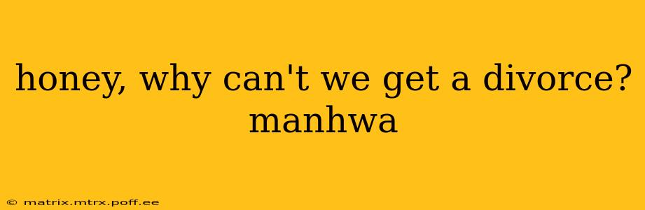 honey, why can't we get a divorce? manhwa