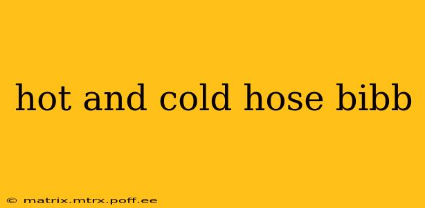 hot and cold hose bibb