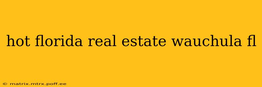 hot florida real estate wauchula fl