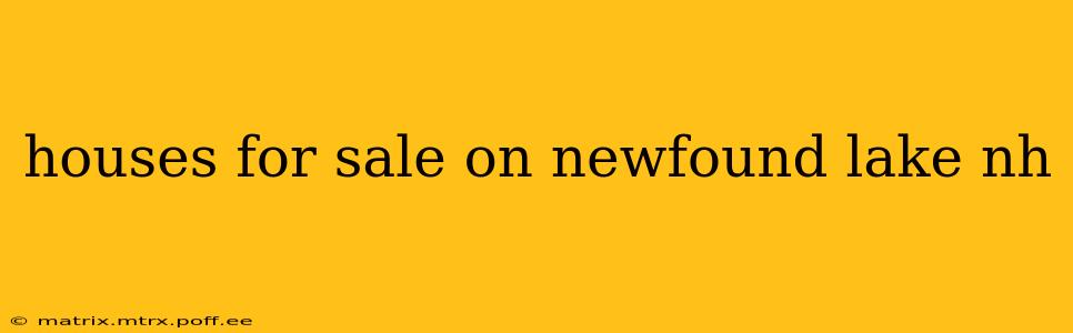houses for sale on newfound lake nh