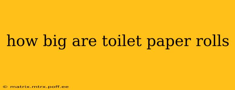 how big are toilet paper rolls