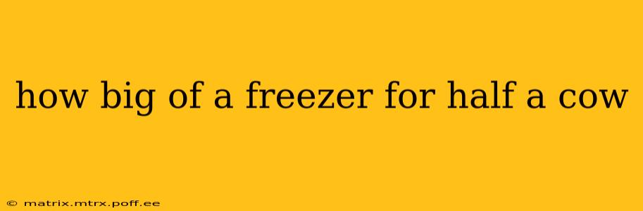 how big of a freezer for half a cow