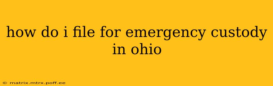 how do i file for emergency custody in ohio