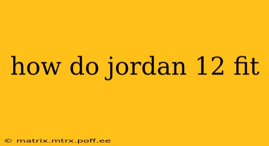 how do jordan 12 fit