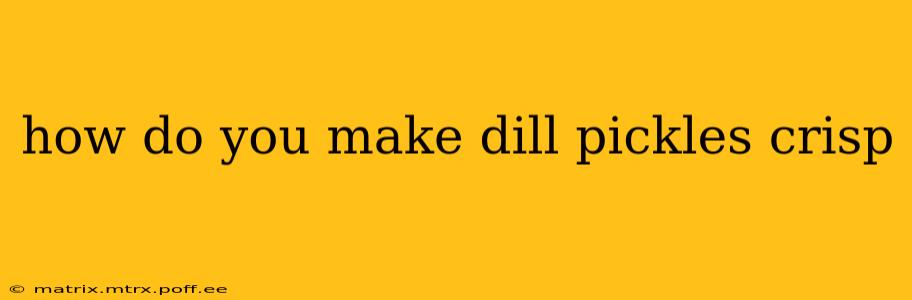 how do you make dill pickles crisp