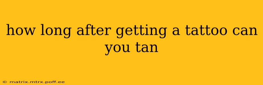 how long after getting a tattoo can you tan