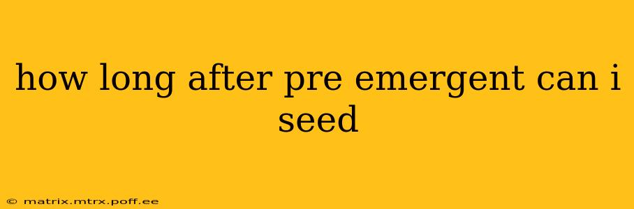 how long after pre emergent can i seed