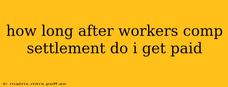 how long after workers comp settlement do i get paid