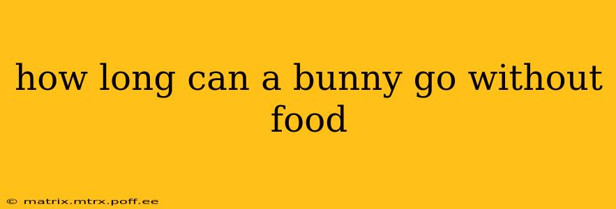 how long can a bunny go without food