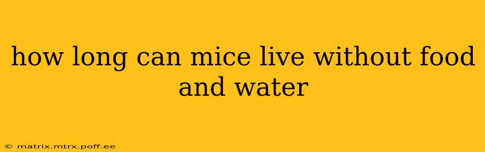 how long can mice live without food and water