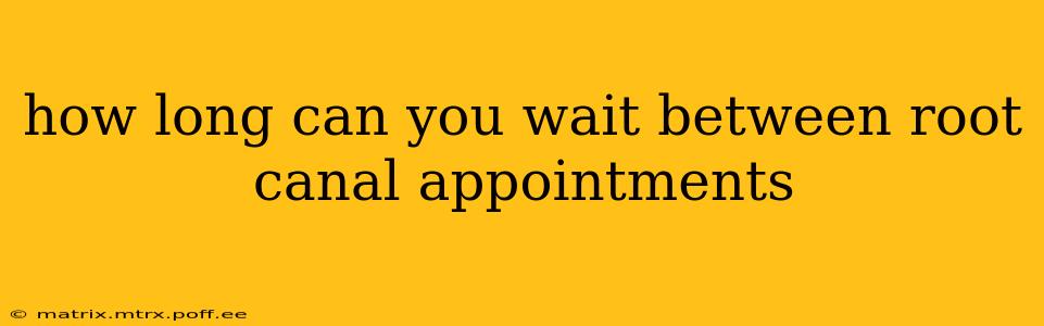how long can you wait between root canal appointments