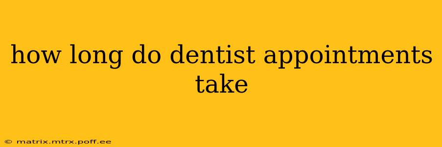 how long do dentist appointments take