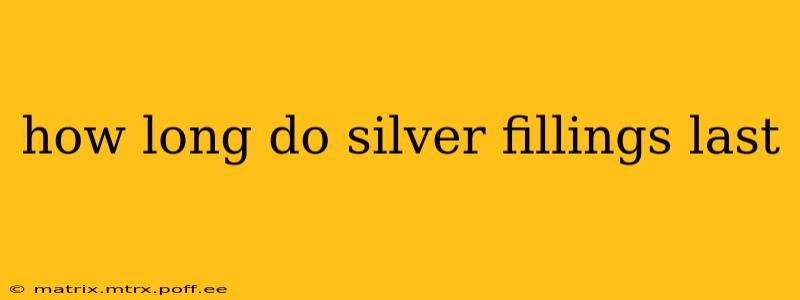 how long do silver fillings last