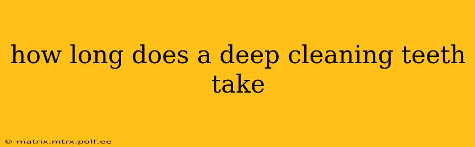 how long does a deep cleaning teeth take