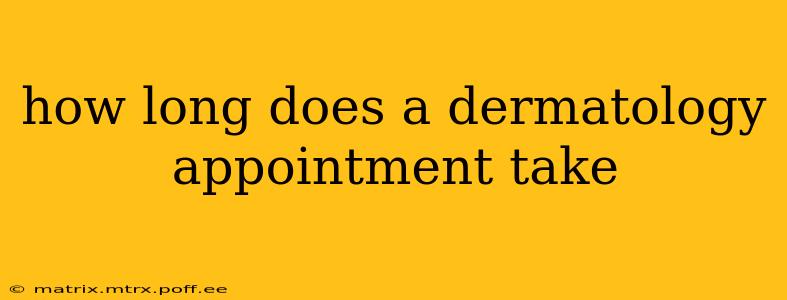 how long does a dermatology appointment take